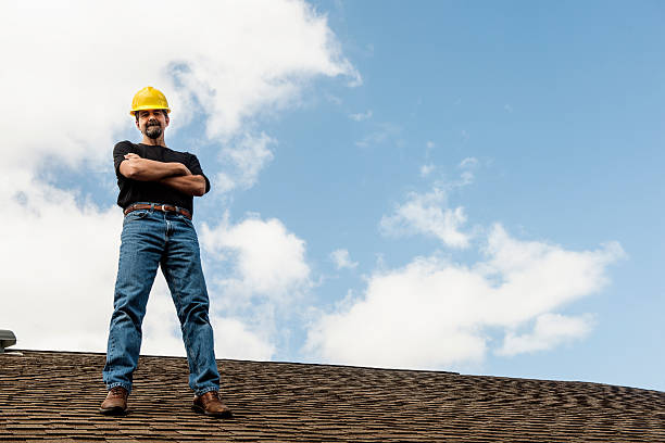 Best Roof Gutter Cleaning  in Ashland, NJ